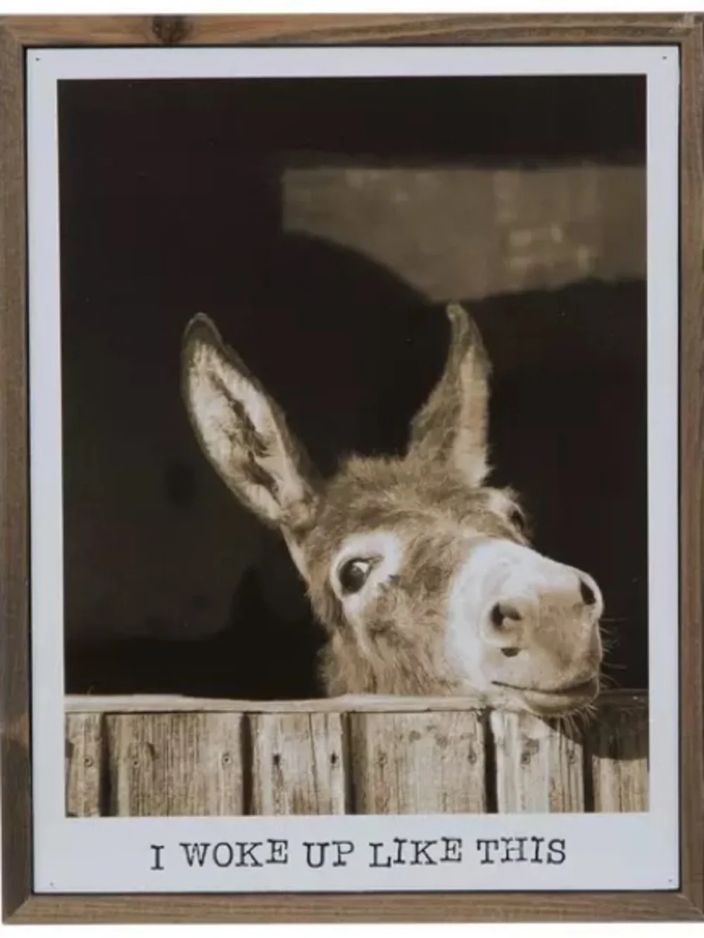 Donkey 'I Woke Up Like This' Framed Wall Art - start the day with some ass! - Picture 2 of 3